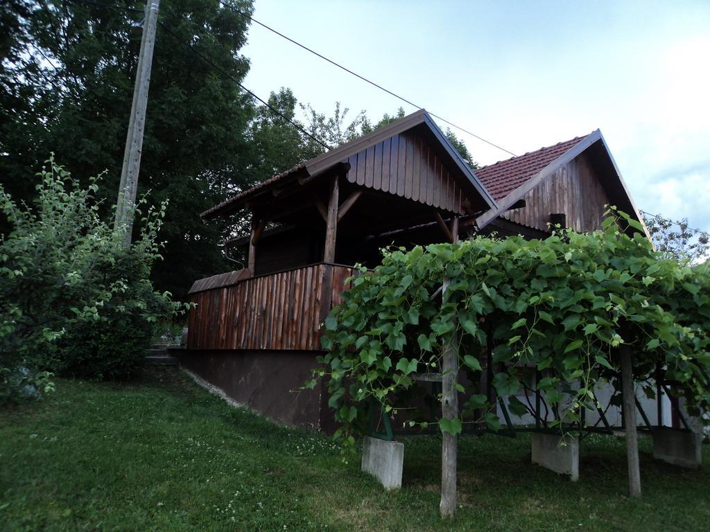Apartments Novela Poljanak Cameră foto